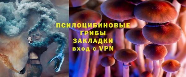 МДПВ Карталы
