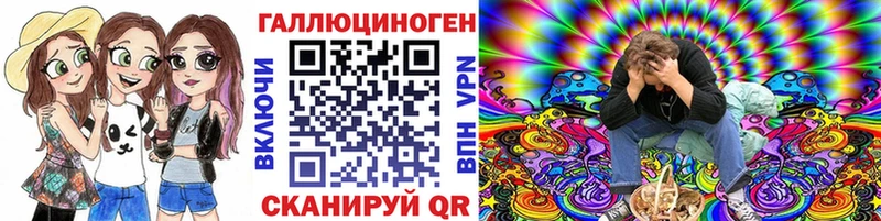 Купить где  Павловская  Галлюциногенные грибы GOLDEN TEACHER 
